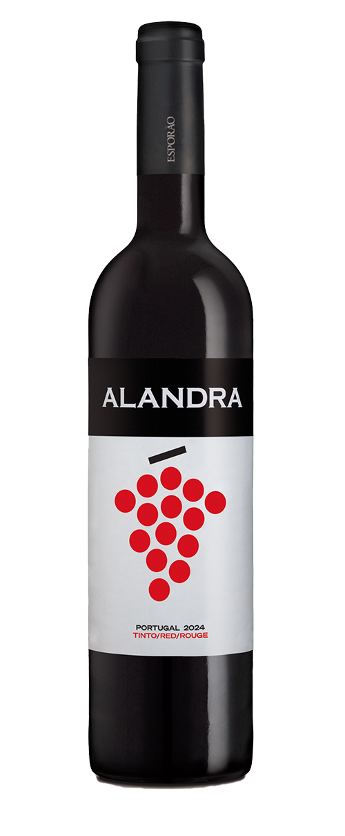 ALANDRA TINTO 2024 - Qualimpor