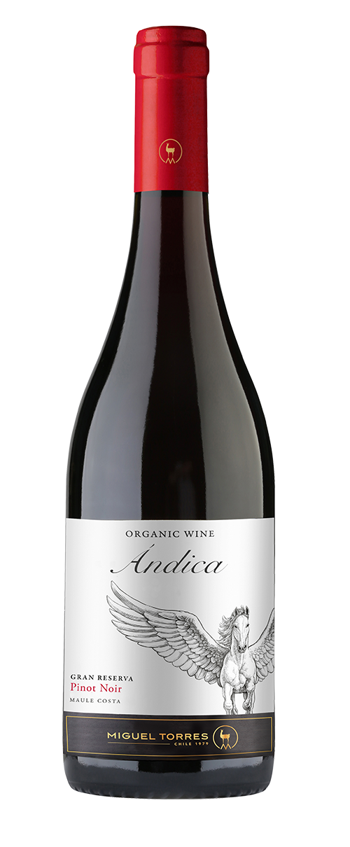 ÁNDICA PINOT NOIR 2024 - Qualimpor
